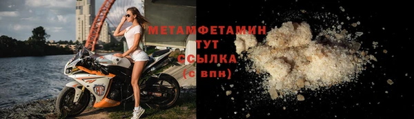 прущие грибы Горняк