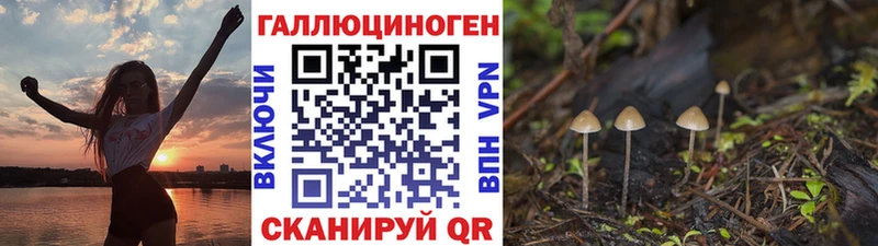 kraken как войти  Тбилисская  Галлюциногенные грибы GOLDEN TEACHER 