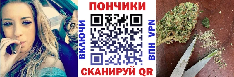 MEGA ссылки  Тбилисская  Шишки марихуана Amnesia  цена  